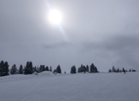 Val di Fiemme / Obereggen aktuálně